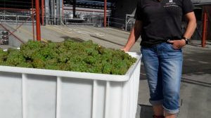 In Her Shoes series : Tracy