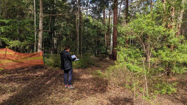 In Her Shoes : Debbie