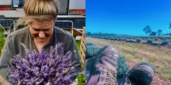 In Her Shoes - Emma Cameron